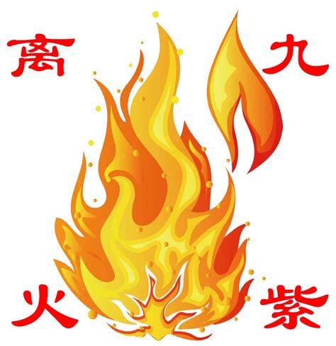 九紫离命|离火大运旺什么命 九紫离火最旺什么日柱